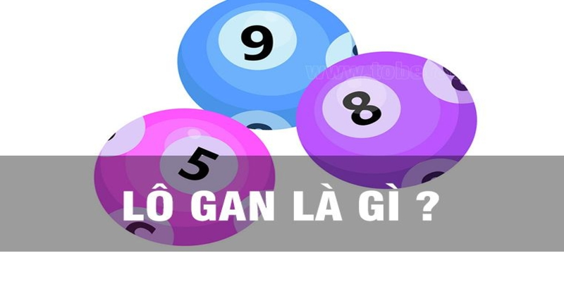 Khái niệm lô gan là gì?