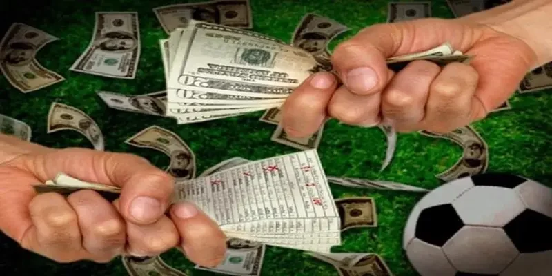 Lựa chọn kèo và đặt cược